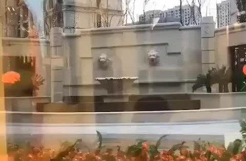 大同维也纳小区最新爆料,揭秘神秘事件背后的真相 第3张 大同维也纳小区最新爆料,揭秘神秘事件背后的真相 第3张