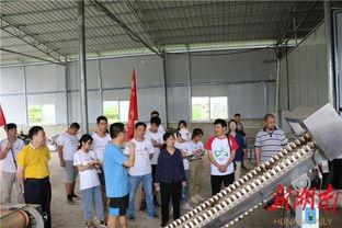 吉首大学爆料事件视频播放,真相与争议交织  第1张